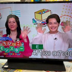 TV　パナソニック　TH-43GR770　2020　幅(W)97...