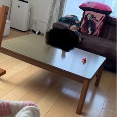 こたつテーブル