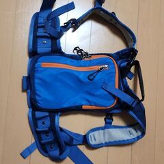 Qogir Ski harness for small child