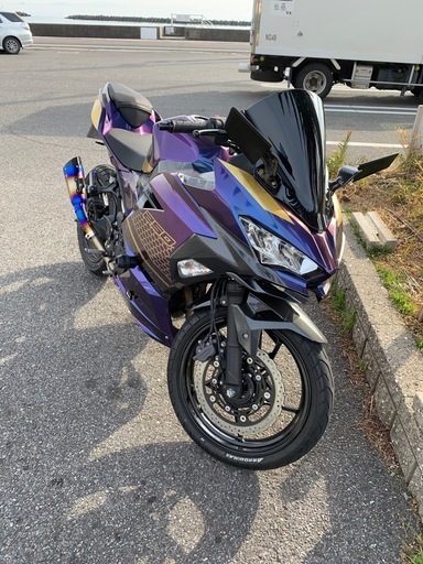 Kawasaki ninja250 2019年製