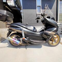 釣り仕様★PCX125★特別仕様車★カスタム多数