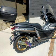 釣り仕様★PCX125★特別仕様車★カスタム多数の画像