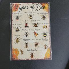 🟦20cm×30cm　世界の🐝蜜蜂ミツバチ図鑑　ブリキ看板の画像