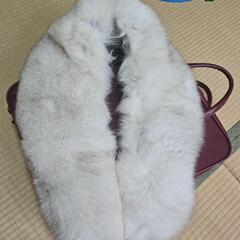 SAGAFURS着物ファー