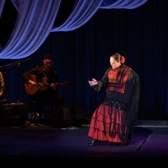 春から始めるフラメンコ☆彡入門・初中級各クラス　体験可能です！の画像
