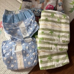犬用おむつ