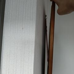 姿見 鏡の画像