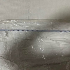 UNIVERSAL LANGUAGE MEASURE'S ウイングカラーの画像