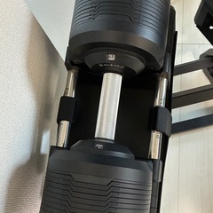 【ダンベルとベンチセット】PROVERBELL 41.5kg✖︎2個（スタンド付き）、アジャスタブルベンチセットの画像
