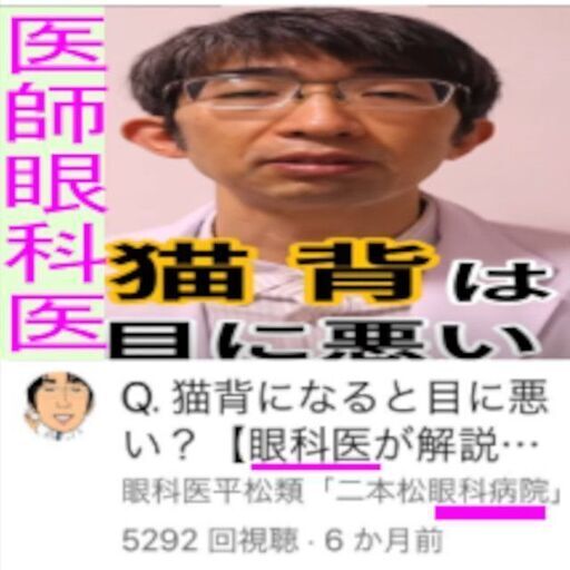 ⑪ワールド世界コンテント・トップ準大賞を受賞