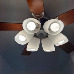 受渡先決定　シーリングファン 6灯 木目調 リモコン付きの画像