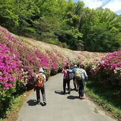 山歩き初心者教室の画像