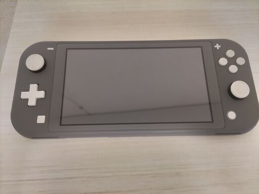 (商談済)switchLite 充電器　専用ケース付き