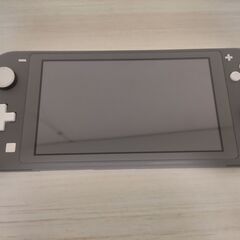 switchLite 充電器　専用ケース付き