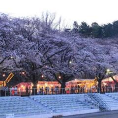 🆕☆急募☆八王子🌸社会人お花見交流会🌸🍺男女参加者募集！(^o^...