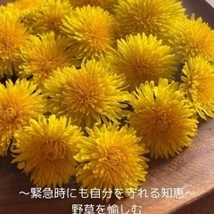 野草ランチとハンドクリーム作り〜緊急時に自分を守る知恵〜