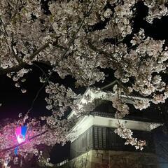🌙✨夜桜🌸&カラオケ行きましょ😆