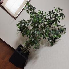 フェイク観葉植物