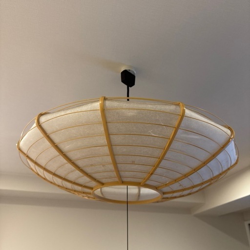 ライト付き天井照明