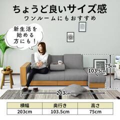 ソファーベッド&カウチの画像