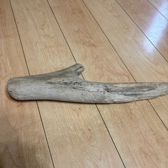 アクアリウム流木水槽レイアウト熱帯魚　