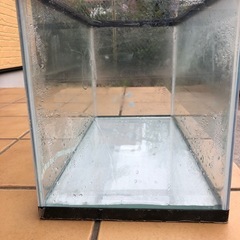 水槽の画像