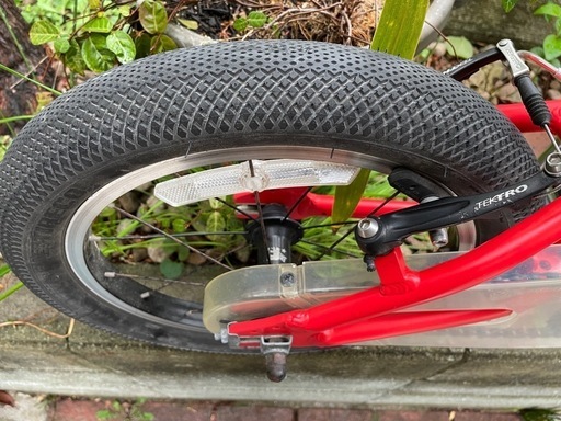 【お渡し先決定】MARINDONKEY JR 16