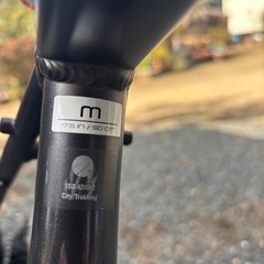 TREKクロスバイクの画像