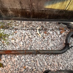 ラパンマフラーの画像