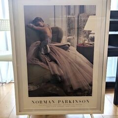 Norman Pasrkinsonフォトポスター　イブニングドレ...