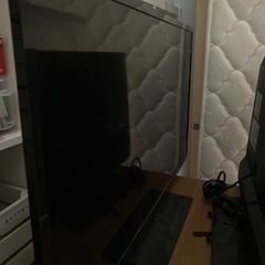 テレビ