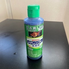 白点病