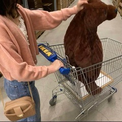 【新品】ニット　カーディガンの画像