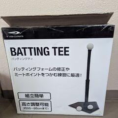 バッティングティ