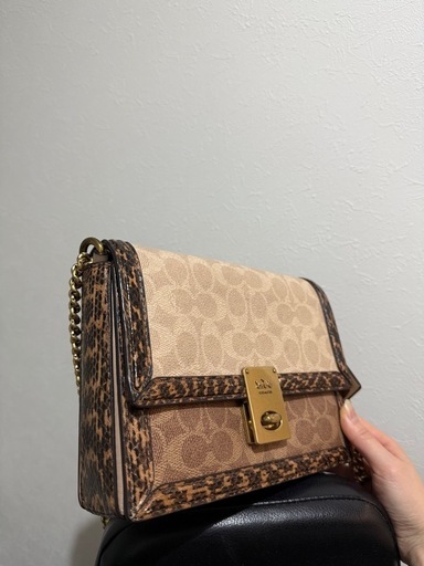 ポーチ coach