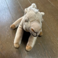 【完売御礼】ラクダのぬいぐるみ