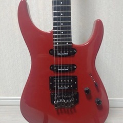 決まりました。FERNANDES   FR-55