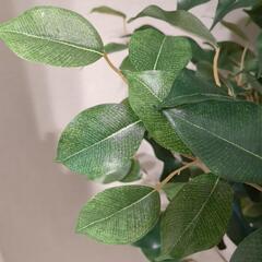 フェイクグリーン　造花　造木　植物　観葉植物　インテリアの画像