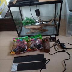 爬虫類飼育セット