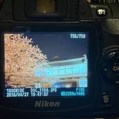 Nikon デジタル一眼レフカメラ 本体　D40の画像