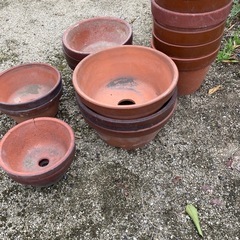 差し上げます！　植木鉢　15個　素焼き
