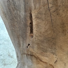 ケヤキ一枚板　天然木　テーブル等に加工してくださいの画像