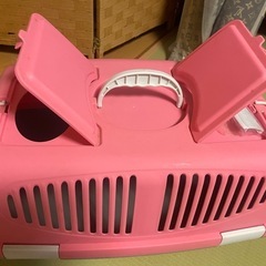 猫　子犬　キャリーケース
の画像