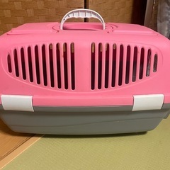 猫　子犬　キャリーケース
の画像