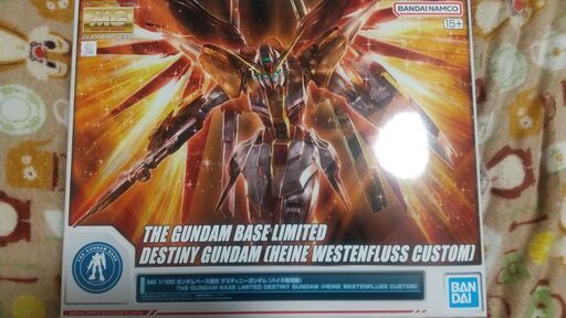 MG　デスティニーガンダム　ハイネカラー　ガンプラ