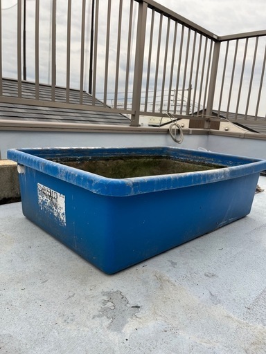 受け渡し者決定大型トロ舟 角型 たらい 水槽 プール 屋台 金魚すくい