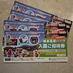 城島高原パーク入園券４枚（決まりました）