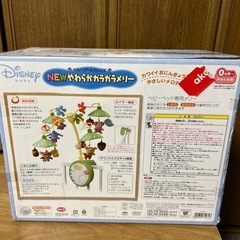 ベビーガラガラメリーの画像