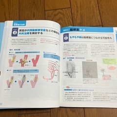 美品✨オールカラー　まるごと図解　ケアにつながる脳の見かたの画像