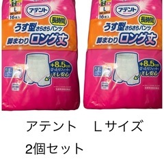 🌺②大人用紙パンツ　オムツ　2個セット